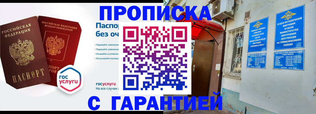 прописка законно в Кингисеппе